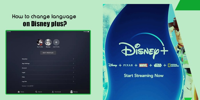 How to change language on Disney plus